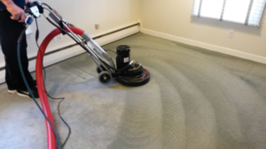 carpet cleaning