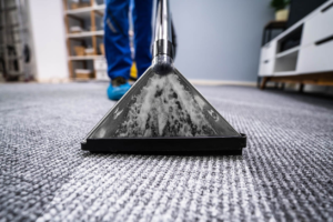 carpet cleaning