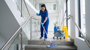 professional cleaning